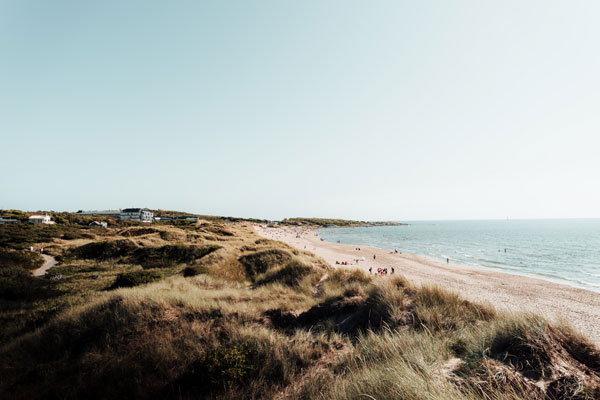 Picture of Halland